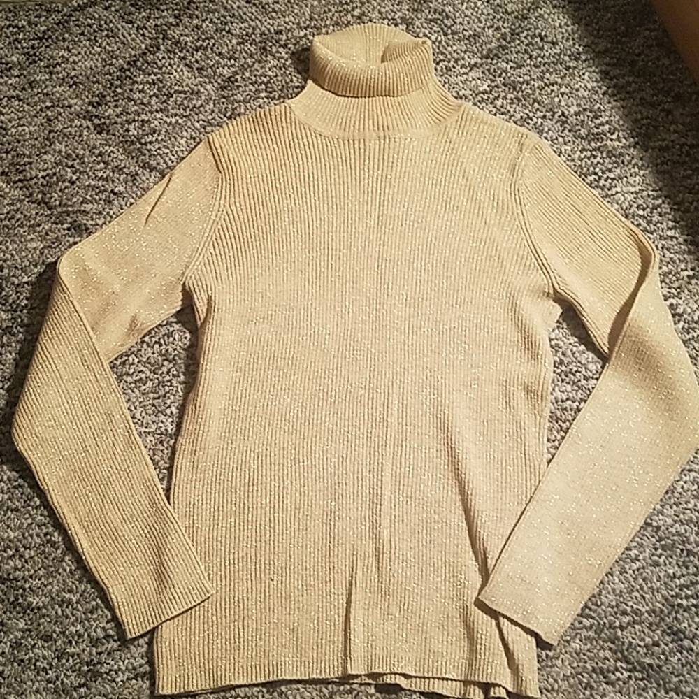 Ladies turtleneck top